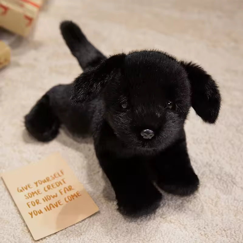 Adoption Plush