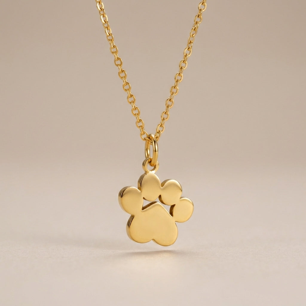 Colar de Pata de Cachorro